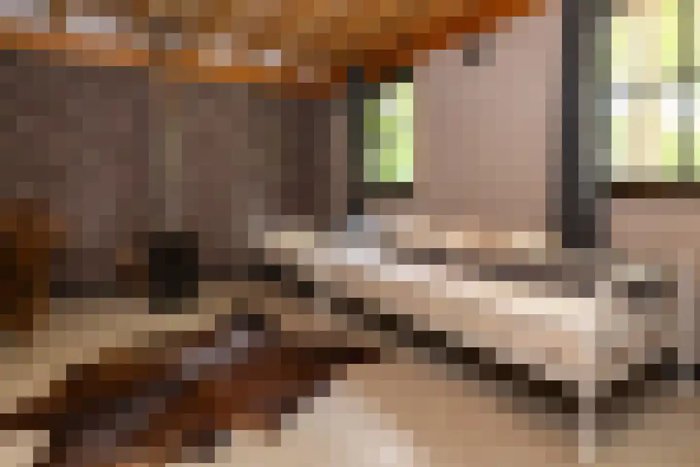 Veelhorsterweg 25 Nunspeet thumbnail 66