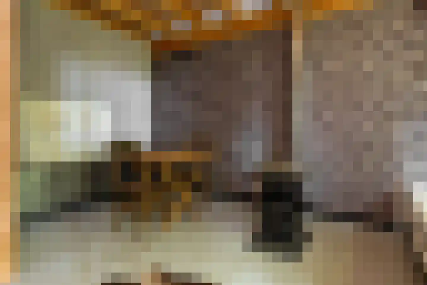 Veelhorsterweg 25 Nunspeet thumbnail 67