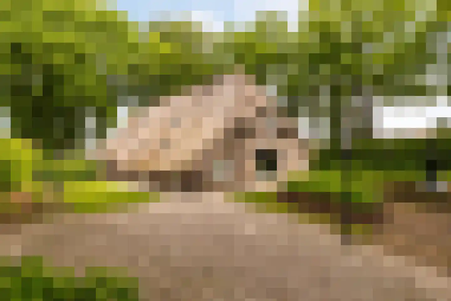 Veelhorsterweg 25 Nunspeet thumbnail 69