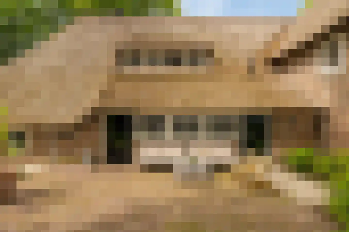 Veelhorsterweg 25 Nunspeet thumbnail 71
