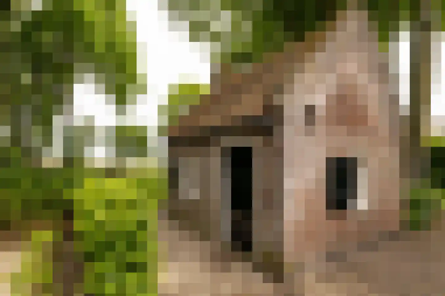 Veelhorsterweg 25 Nunspeet thumbnail 74