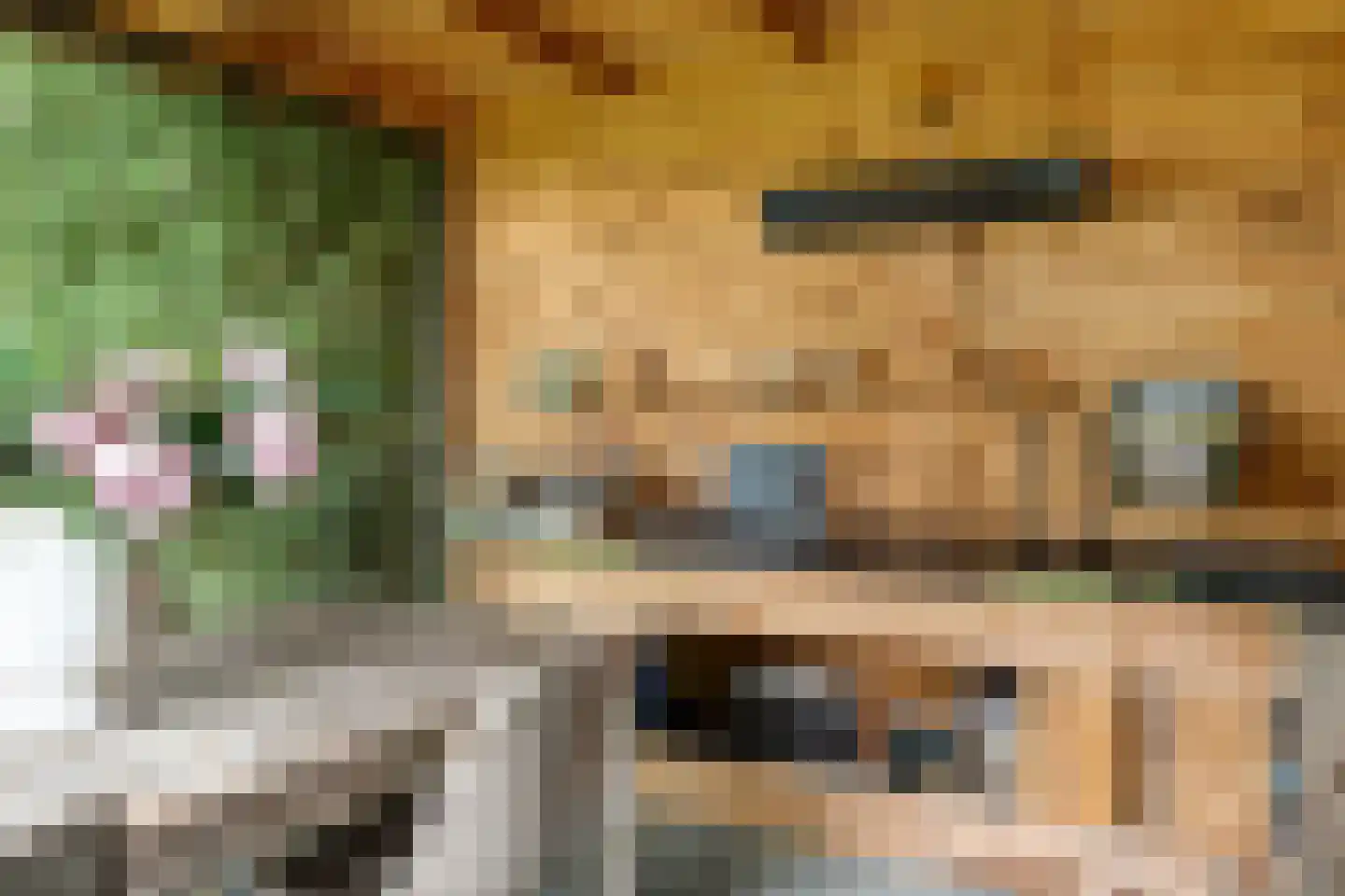 Veelhorsterweg 25 Nunspeet thumbnail 76