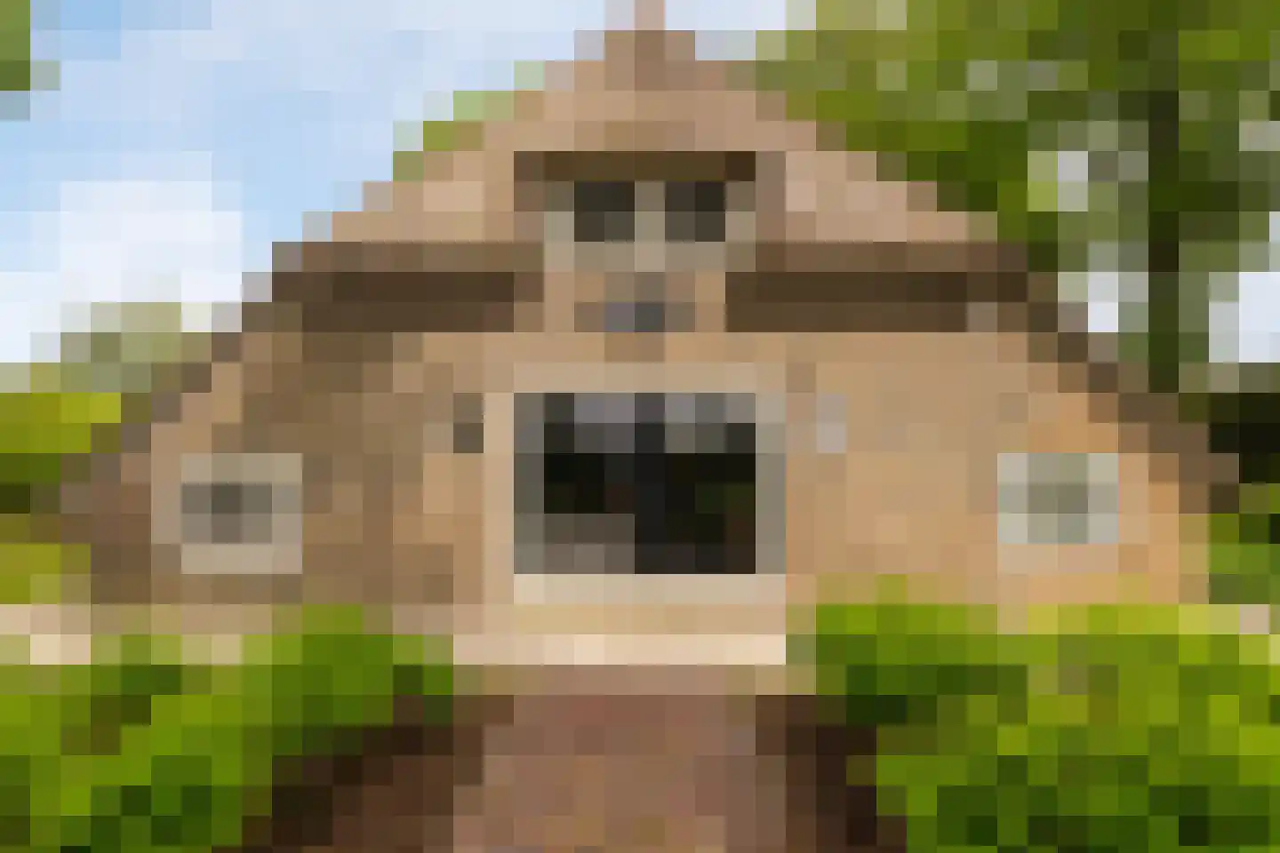 Veelhorsterweg 25 Nunspeet thumbnail 8