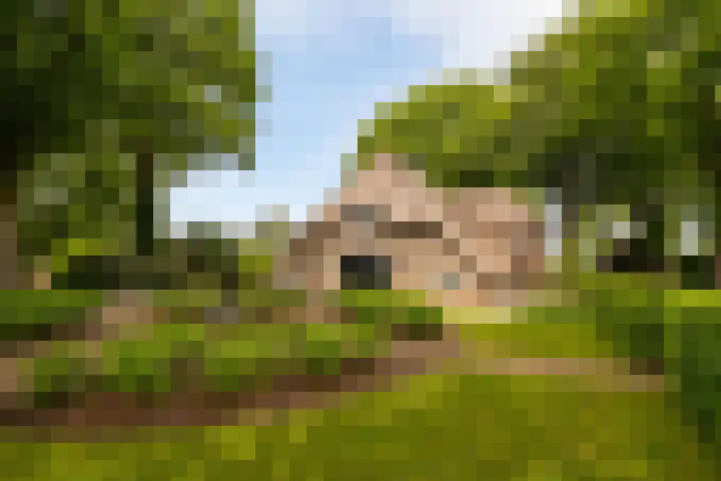 Veelhorsterweg 25 Nunspeet thumbnail 9