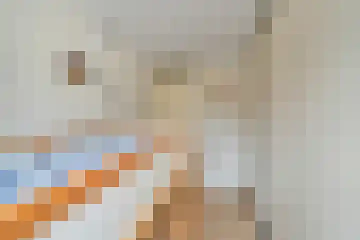 Veelmanlanden 7 Enschede thumbnail 40