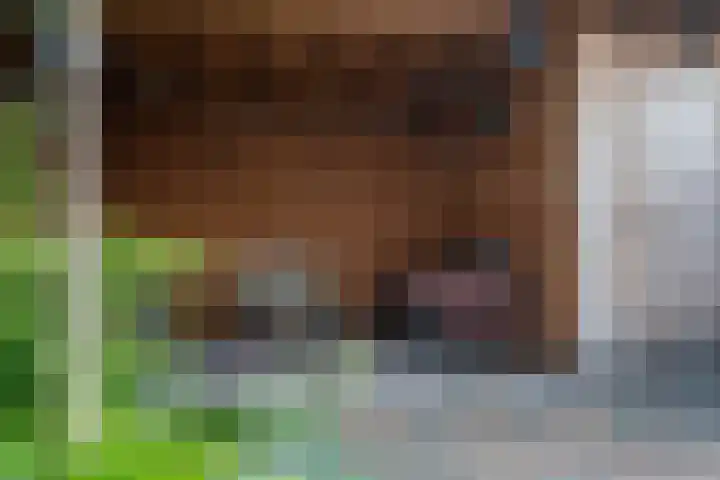 Veelmanlanden 7 Enschede thumbnail 48