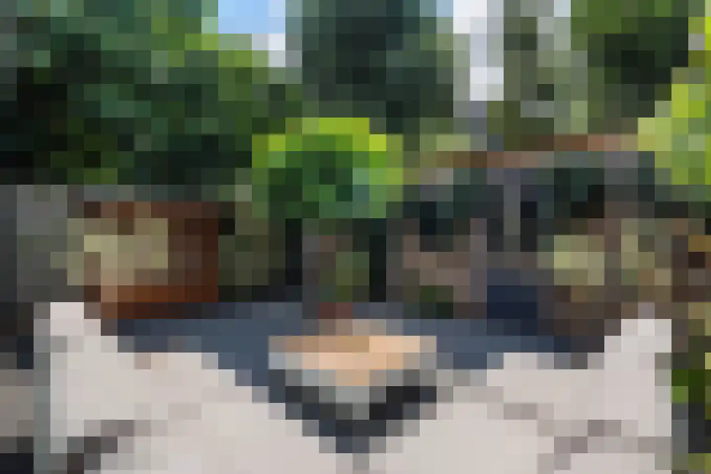 Veelzigtstraat 19 Rotterdam thumbnail 12