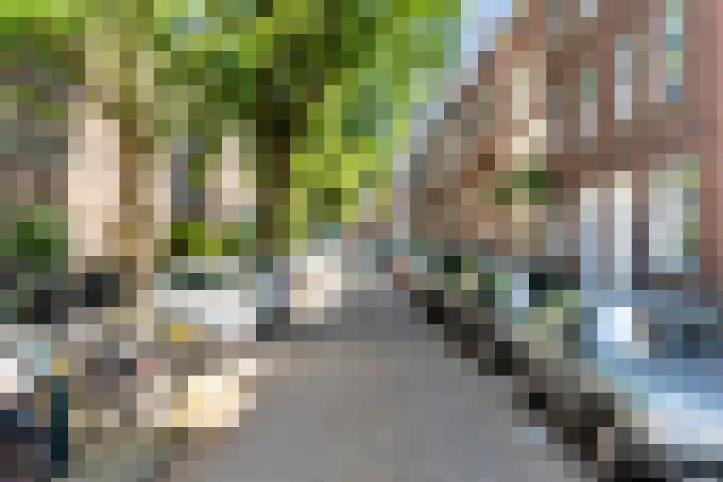 Veelzigtstraat 2 02R Rotterdam thumbnail 48