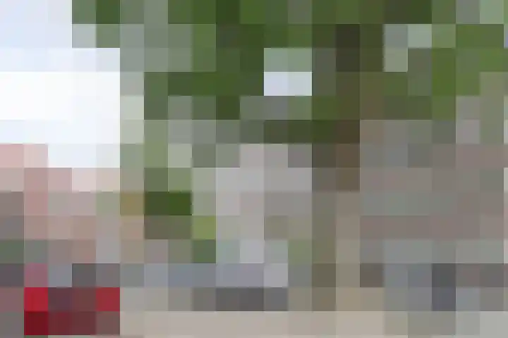 Veelzigtstraat 2 03L Rotterdam foto 2