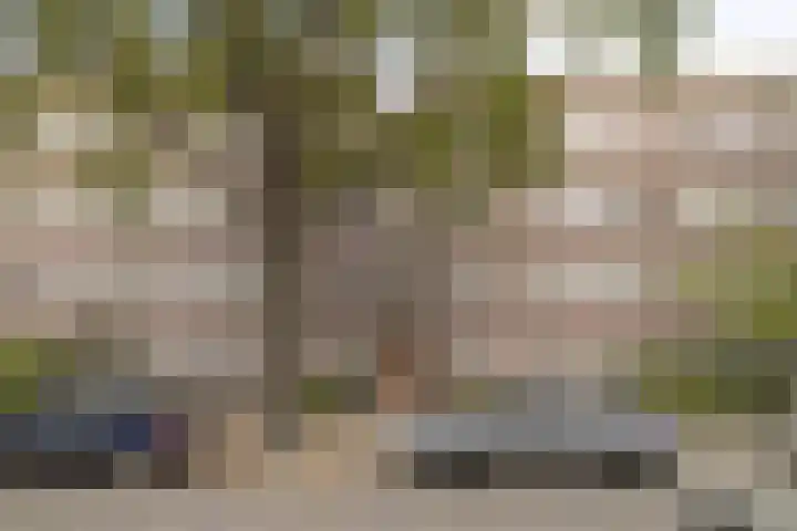 Veelzigtstraat 6 BGR in Rotterdam