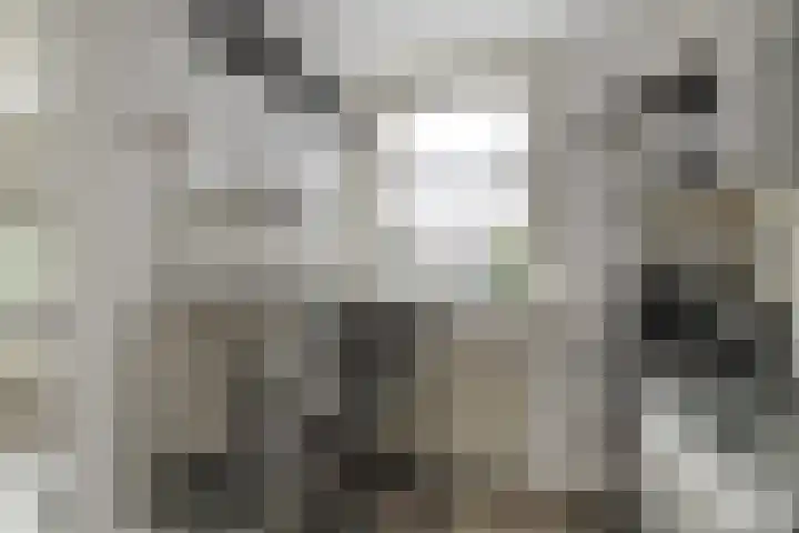 Veelzigtstraat 6 BGR Rotterdam thumbnail 11