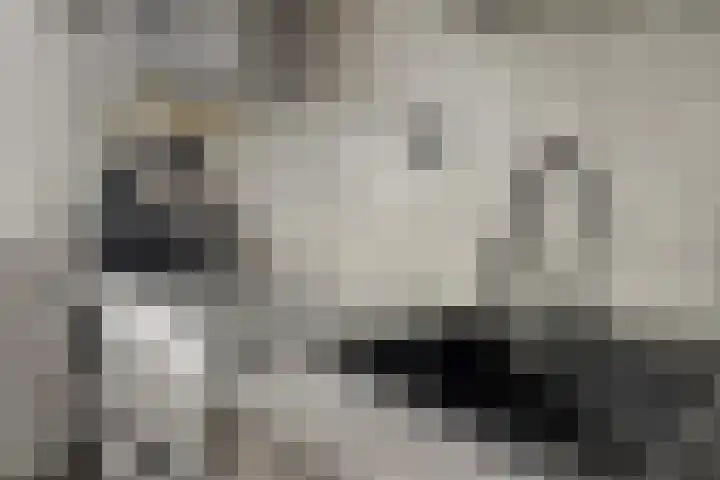 Veelzigtstraat 6 BGR Rotterdam thumbnail 12