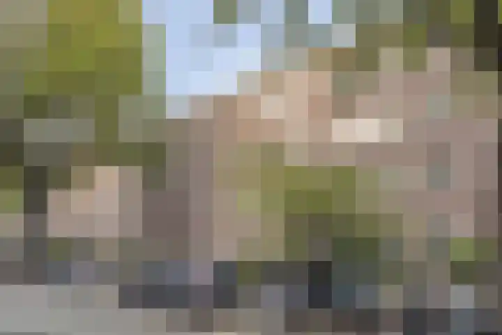 Veelzigtstraat 6 BGR Rotterdam thumbnail 25