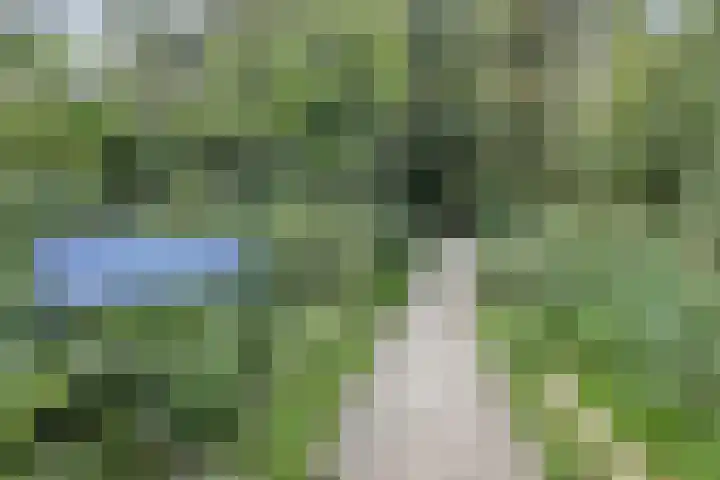 Veelzigtstraat 6 BGR Rotterdam thumbnail 30