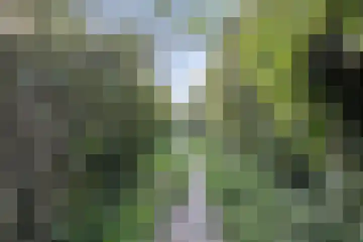 Veelzigtstraat 6 BGR Rotterdam thumbnail 31