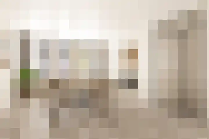 Veelzigtstraat 6 BGR Rotterdam thumbnail 4