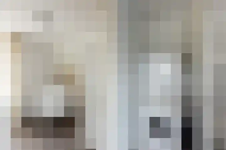 Veemarkt 15 Borculo thumbnail 22