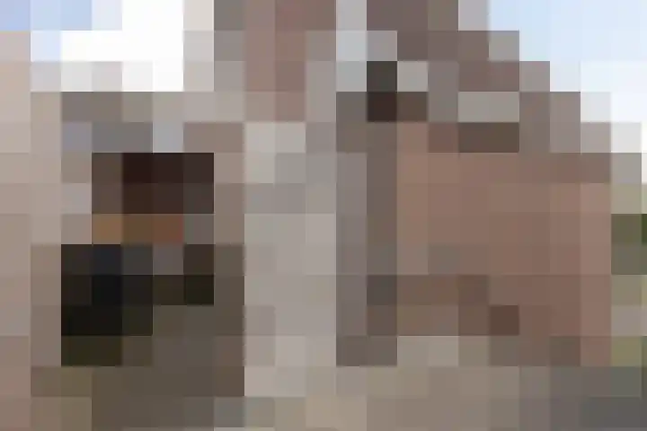 Veemarkt 15 Borculo thumbnail 27