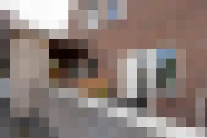 Veemarkt 15 Borculo thumbnail 28