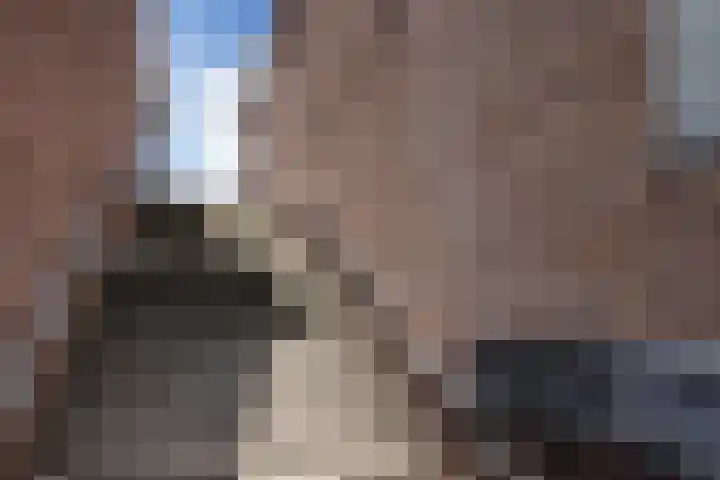 Veemarkt 15 Borculo thumbnail 32