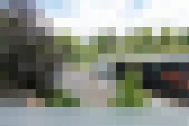Veemarkt 15 Borculo thumbnail 33
