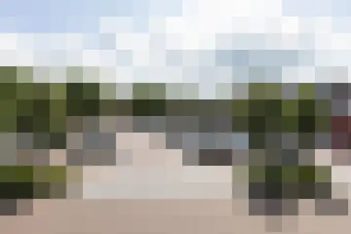 Veemarkt 15 Borculo thumbnail 34