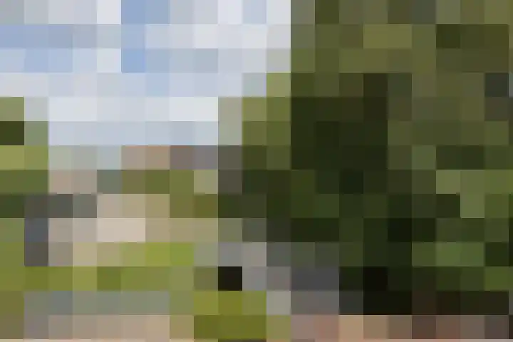 Veemarkt 15 Borculo thumbnail 37