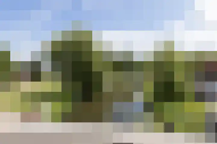 Veemarkt 15 Borculo thumbnail 39