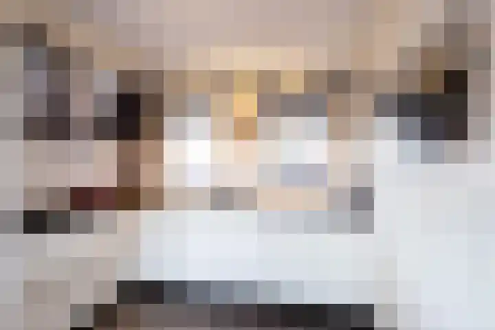 Veemarkt 15 Borculo thumbnail 4