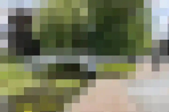 Veemarkt 15 Borculo thumbnail 40