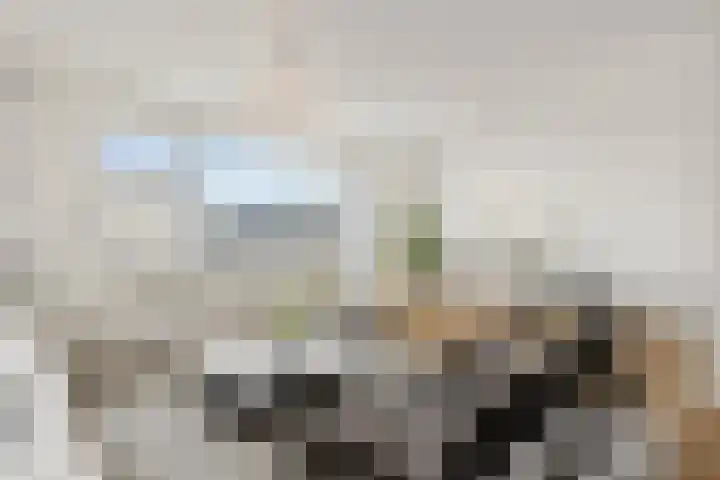 Veemarkt 253 Nijmegen thumbnail 33