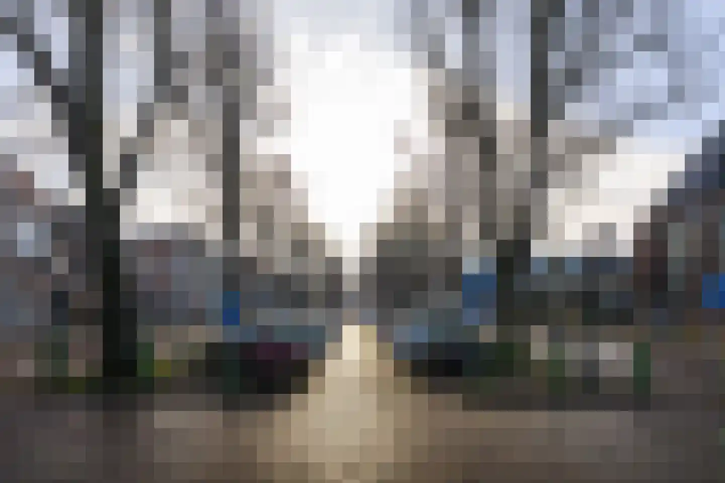 Veemarkt 29 Hoorn thumbnail 8