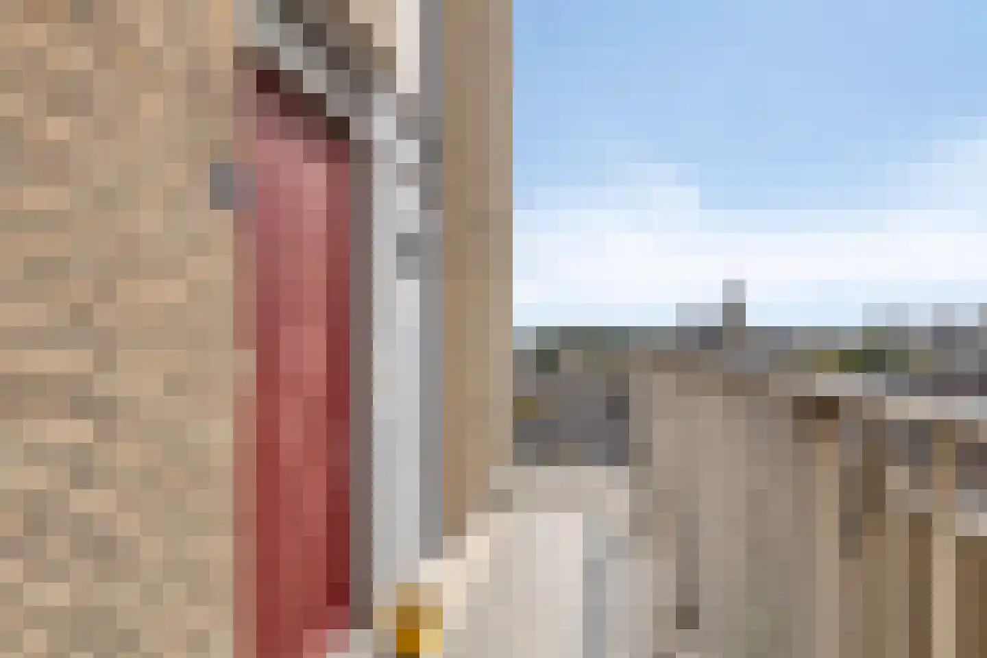 Veemarkt 293 Nijmegen thumbnail 33