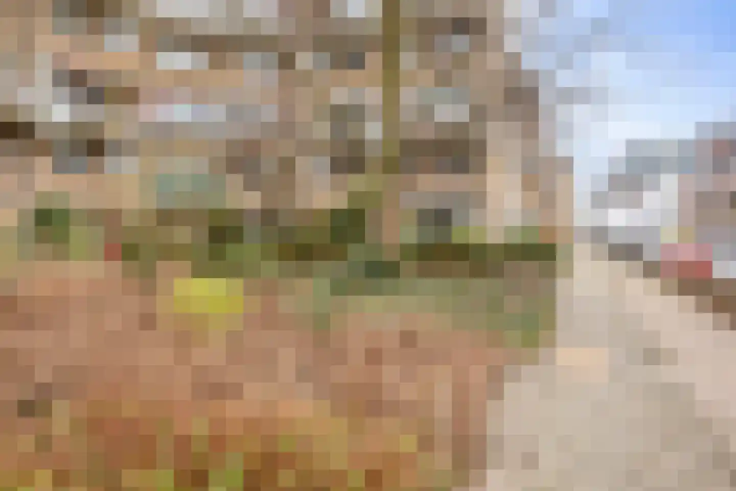 Veemarkt 3 Nijmegen thumbnail 24