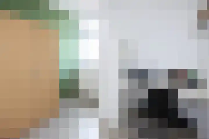 Veemarkt 5 Aalten thumbnail 10