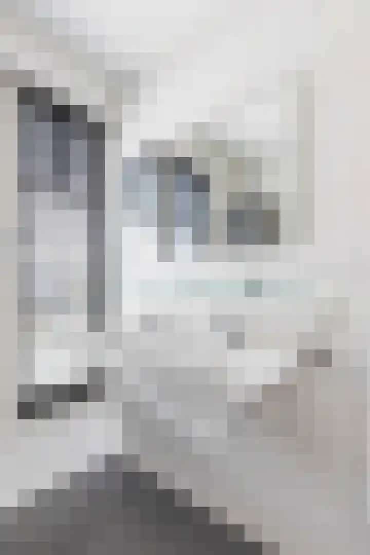 Veemarktpad 5 Assen thumbnail 23