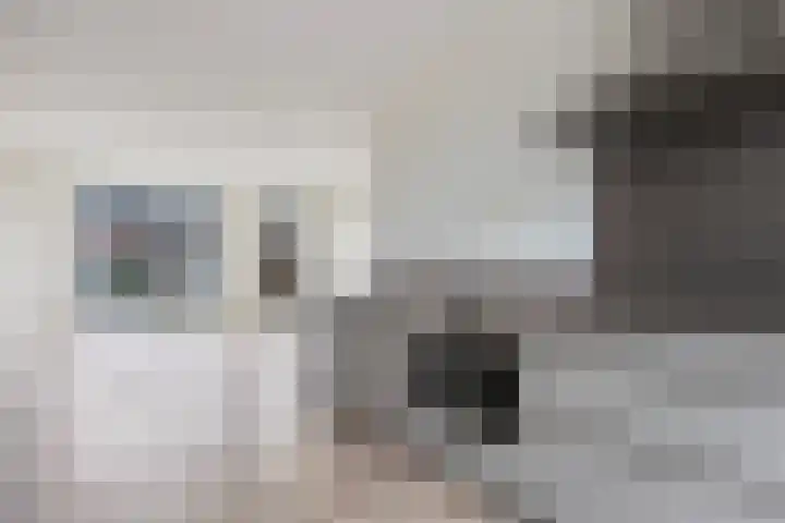 Veemarktpad 9 Assen thumbnail 14