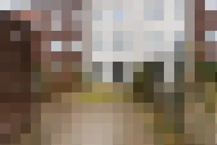 Veemarktpad 9 Assen thumbnail 17