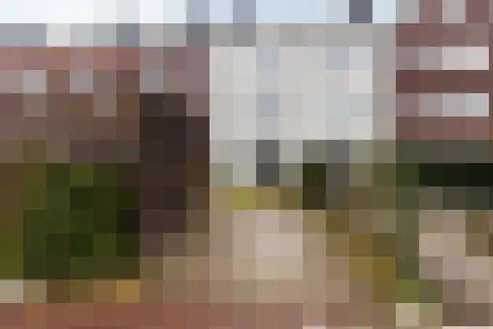 Veemarktpad 9 Assen thumbnail 18