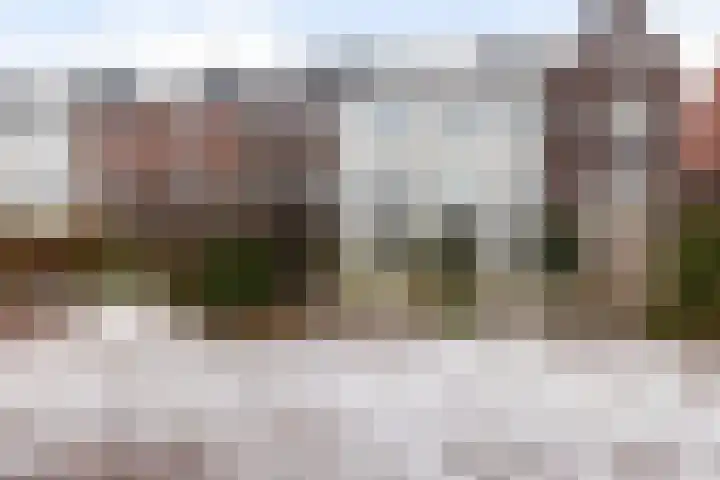 Veemarktpad 9 Assen thumbnail 19