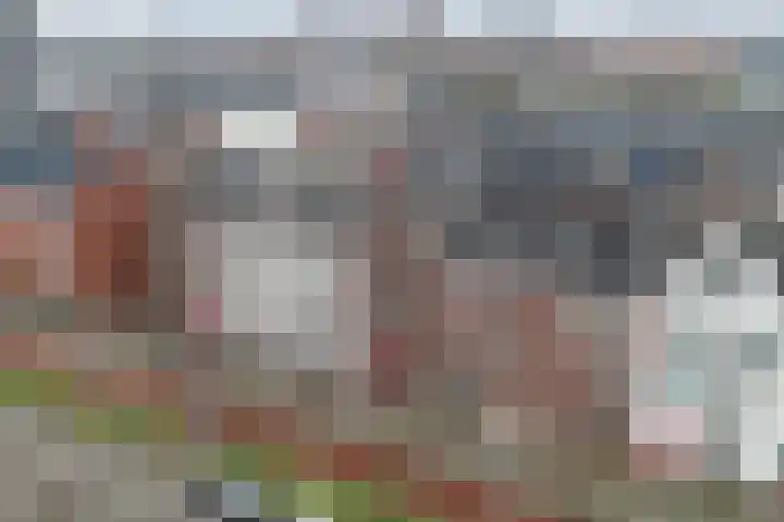 Veemarktpad 9 Assen thumbnail 39
