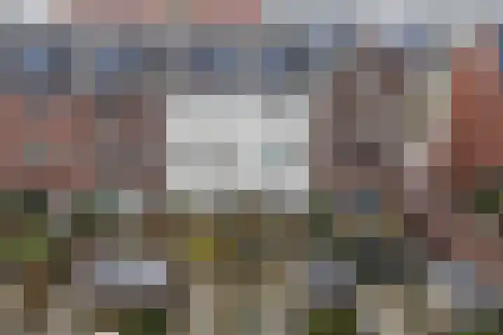 Veemarktpad 9 Assen thumbnail 43