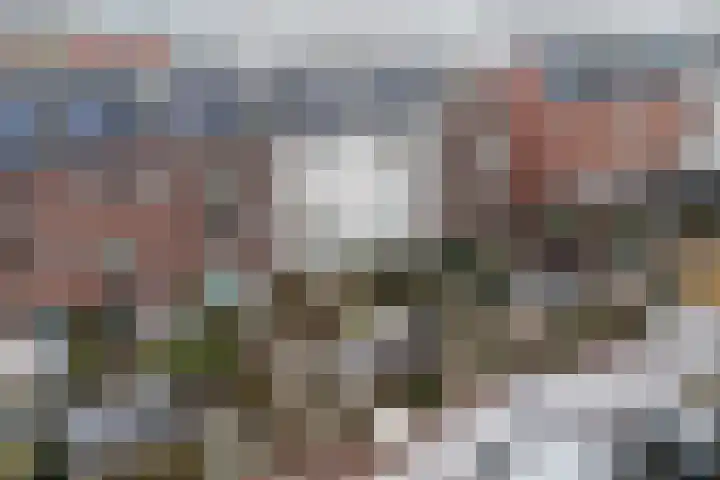 Veemarktpad 9 Assen thumbnail 44