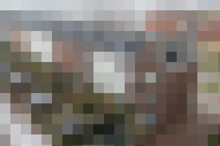 Veemarktpad 9 Assen thumbnail 45
