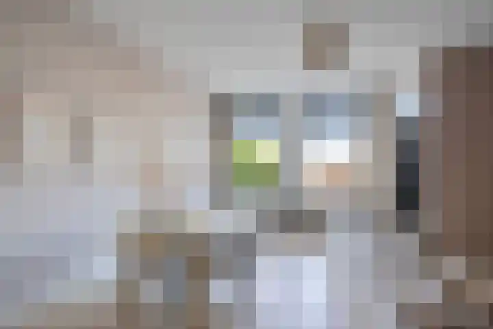 Veemarktplein 9 Sneek thumbnail 14