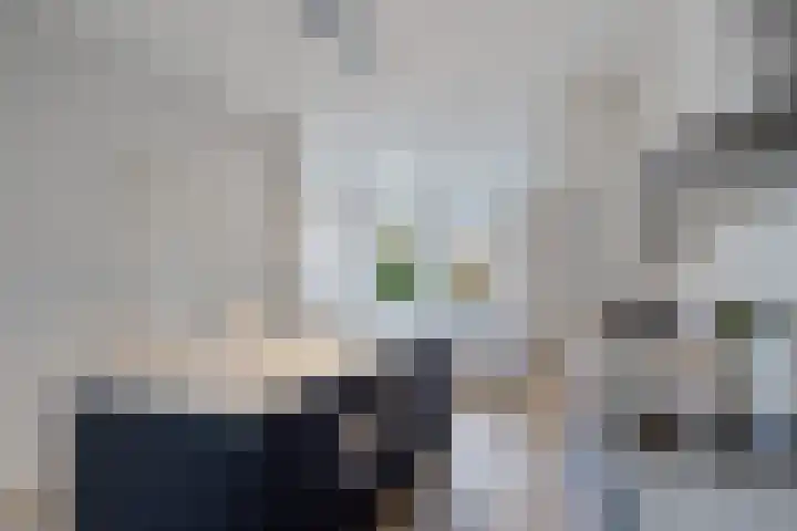Veemarktplein 9 Sneek thumbnail 21