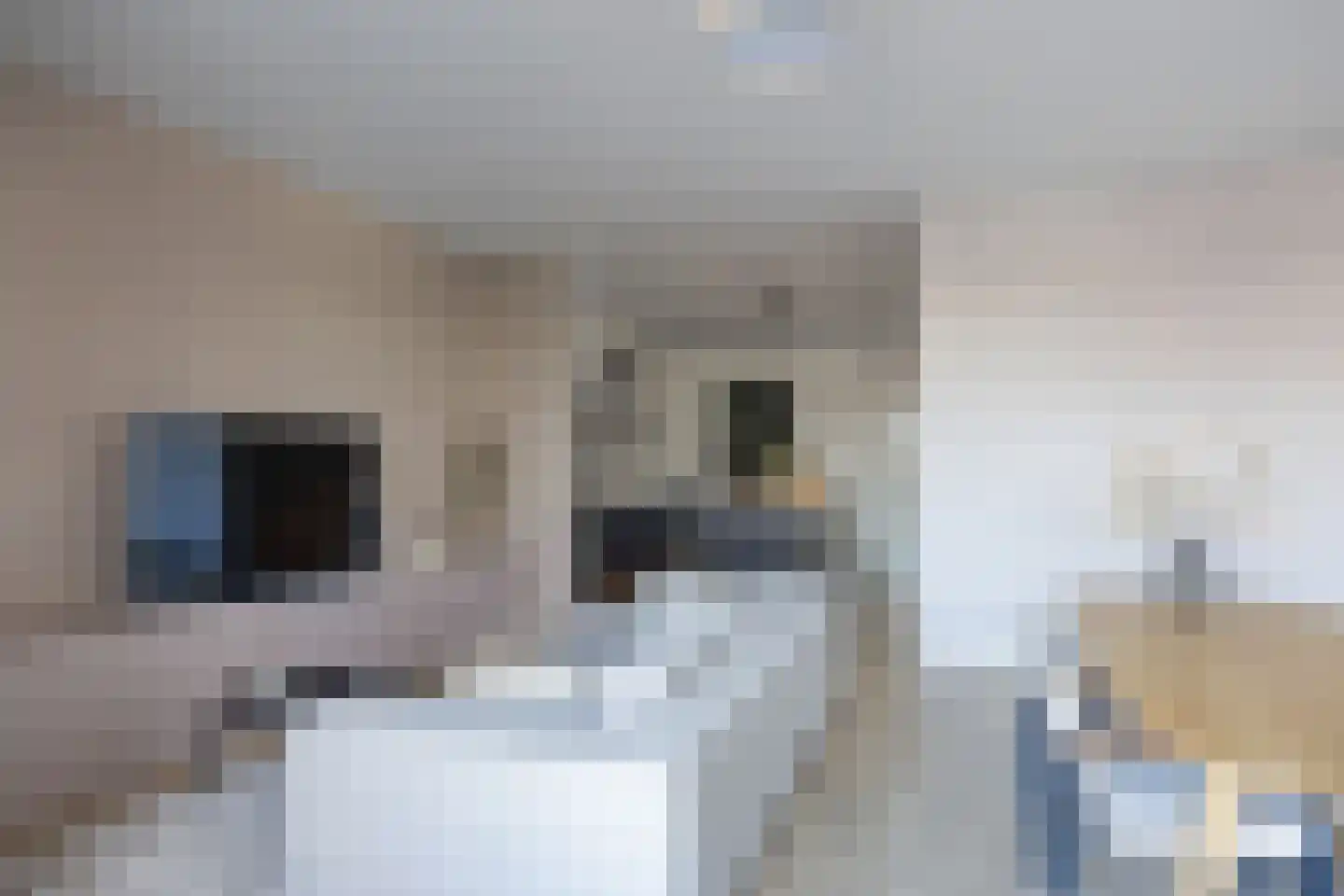 Veemarktplein 9 Sneek thumbnail 22