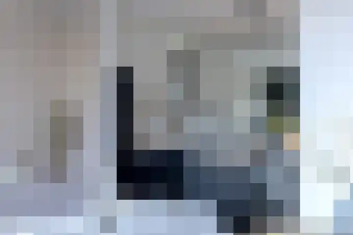 Veemarktplein 9 Sneek thumbnail 22