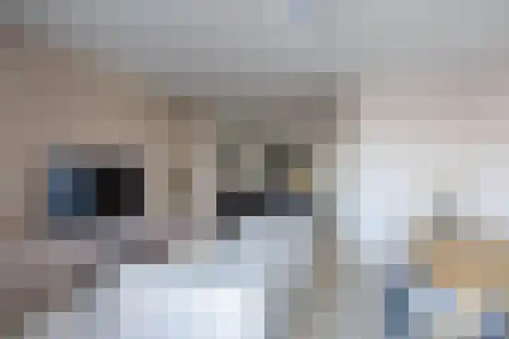 Veemarktplein 9 Sneek thumbnail 24