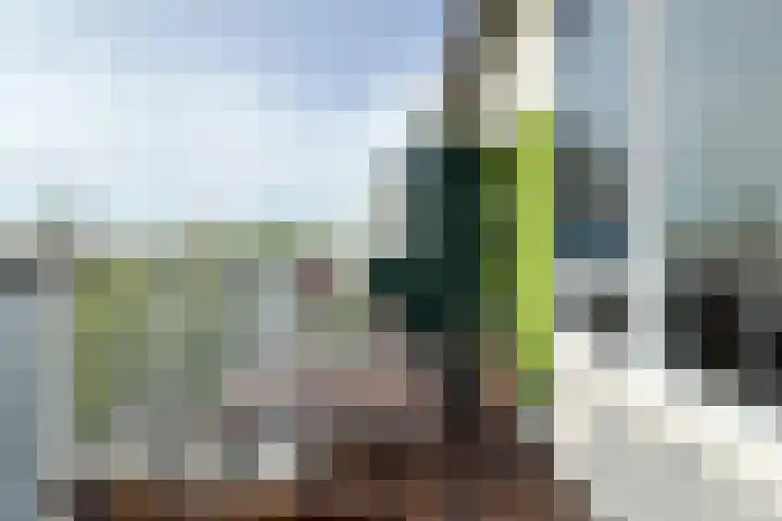 Veemarktstraat 115 Rotterdam thumbnail 15